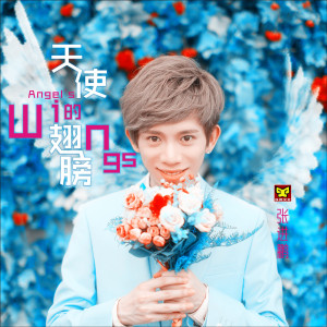 Listen to 天使的翅膀 song with lyrics from 张进鹏
