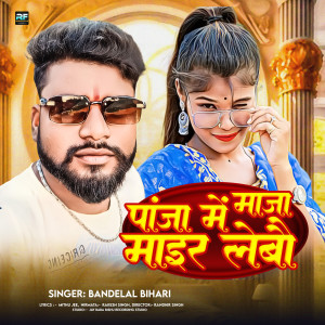 Bandelal Bihari的专辑Paja Me Maja Mar Lebo