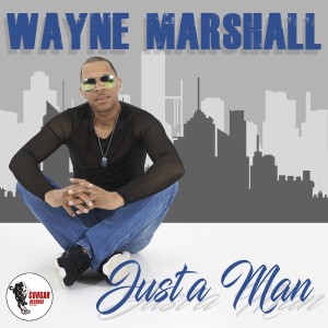 Wayne Marshall的專輯Just a Man (Club Mix)