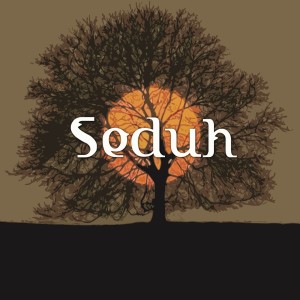 Listen to Transisi Diri song with lyrics from Seduh