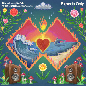 Listen to Wide Open (Acoustic Version) song with lyrics from Disco Lines