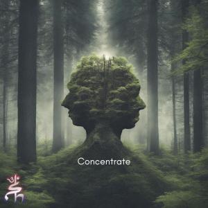 Shakra的專輯Concentrate