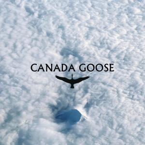 VASSI的專輯Canada Goose