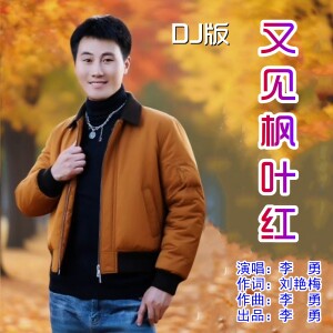 Album 又见枫叶红（DJ版） from 