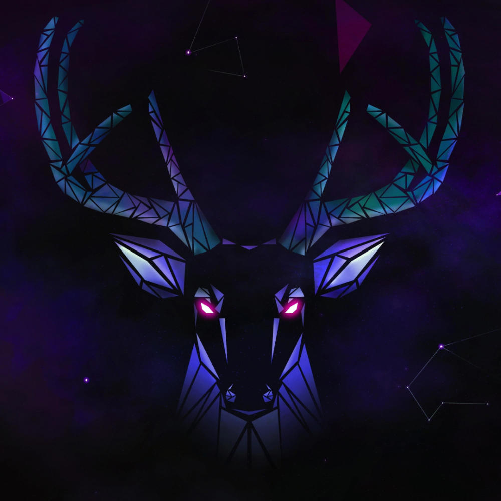 Echo