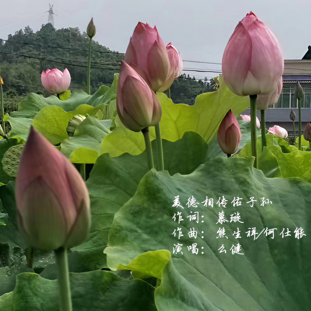 美德相传佑子孙 (完整版)