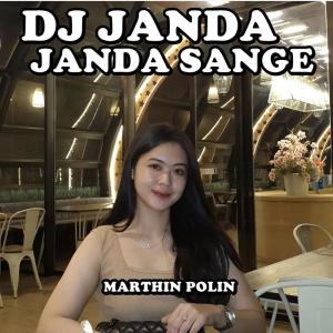 Album Dj Janda Janda Sange from MARTHIN POLIN