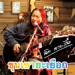 Dengarkan ขุนเขายะเยือก lagu dari นิด ลายสือ dengan lirik