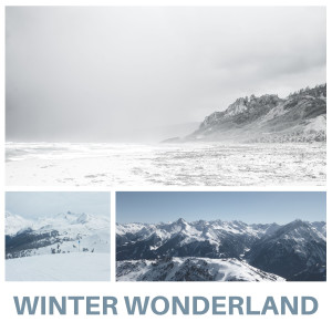 Album Winter Wonderland oleh MiniMalize