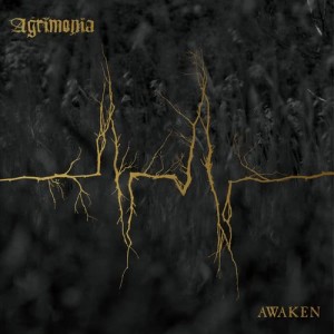ดาวน์โหลดและฟังเพลง Awaken พร้อมเนื้อเพลงจาก Agrimonia
