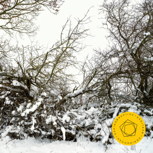 ดาวน์โหลดและฟังเพลง I. Moderato พร้อมเนื้อเพลงจาก Berlin Philharmonic