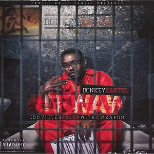 Album Convicted Felon With a Weapon (Explicit) from Donkey Cartel