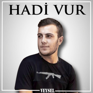 Album Hadi Vur from Veysel