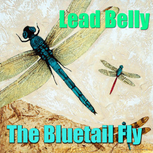 Listen to Goodnight Irene song with lyrics from Lead Belly