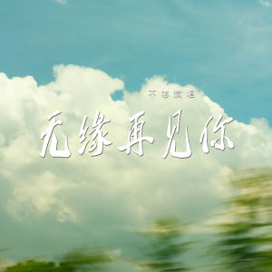 Listen to 无缘再见你 (伴奏) song with lyrics from 不够