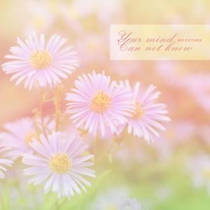 Album Unknown mind from 하늘그림