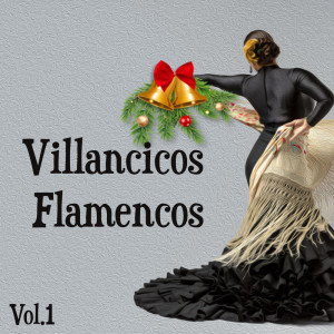 收聽Canalejas De Puerto Real的La Virgen Va Cansaita歌詞歌曲