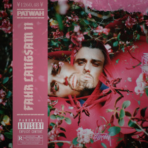 Album Fahr Langsam 2 (Explicit) from Patwah