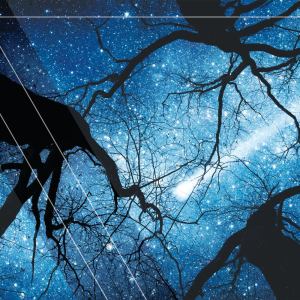 Album Perairan Dalam oleh Tidur Santai Meditasi