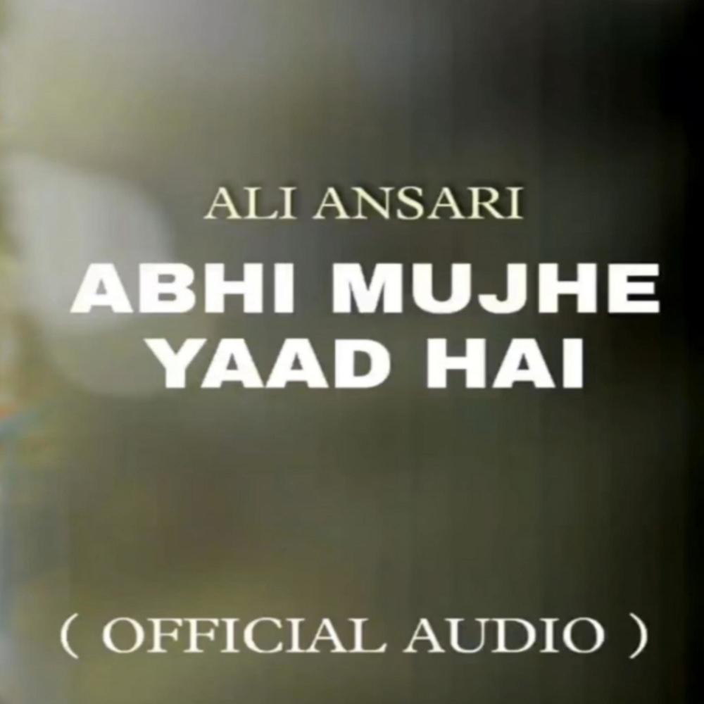 Abhi Mujhe Yaad Hai Kingo Ali Ansari (Explicit)
