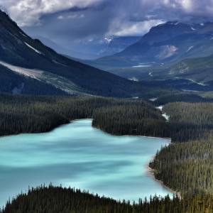 Listen to Above All song with lyrics from Relaxing Music Therapy