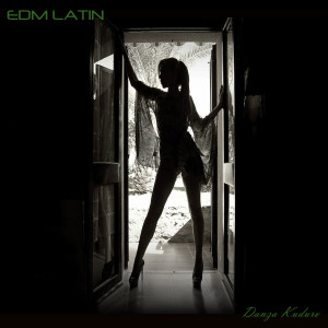 ดาวน์โหลดและฟังเพลง Danza Kuduro พร้อมเนื้อเพลงจาก EDM Latin