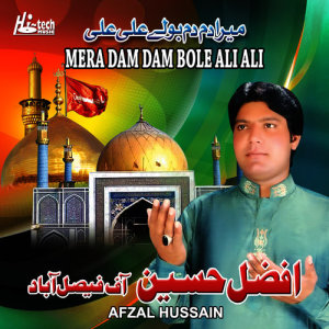 ดาวน์โหลดและฟังเพลง Mera Sohna Badshah พร้อมเนื้อเพลงจาก Afzal Hussain