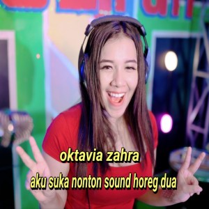 Album Aku Suka Nonton Sound Horeg Dua from 