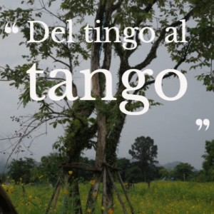 Album Del tingo al tango oleh Various Artist