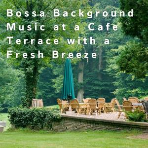 Masami Sato的專輯Bossa Background Music at a Cafe Terrace with a Fresh Breeze