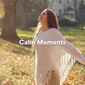 Album Calm Moments from Peaceful Music