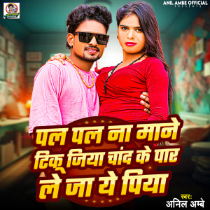 Listen to Pal Pal Na Mane Tinku Jiya Chand Ke Par Le Ja ye Piya song with lyrics from Anil Ambe
