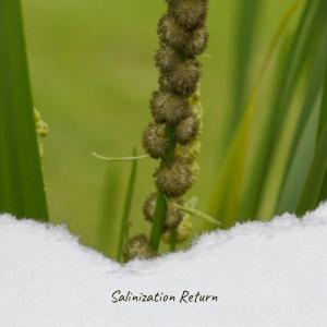 ดาวน์โหลดและฟังเพลง By Nobody พร้อมเนื้อเพลงจาก Wiel Lety