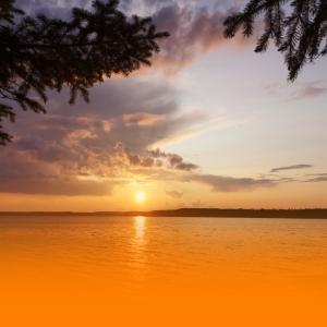 Album Soothing Ambient Sounds For Mindfulness Emotional Healing from Easy Sleep Music