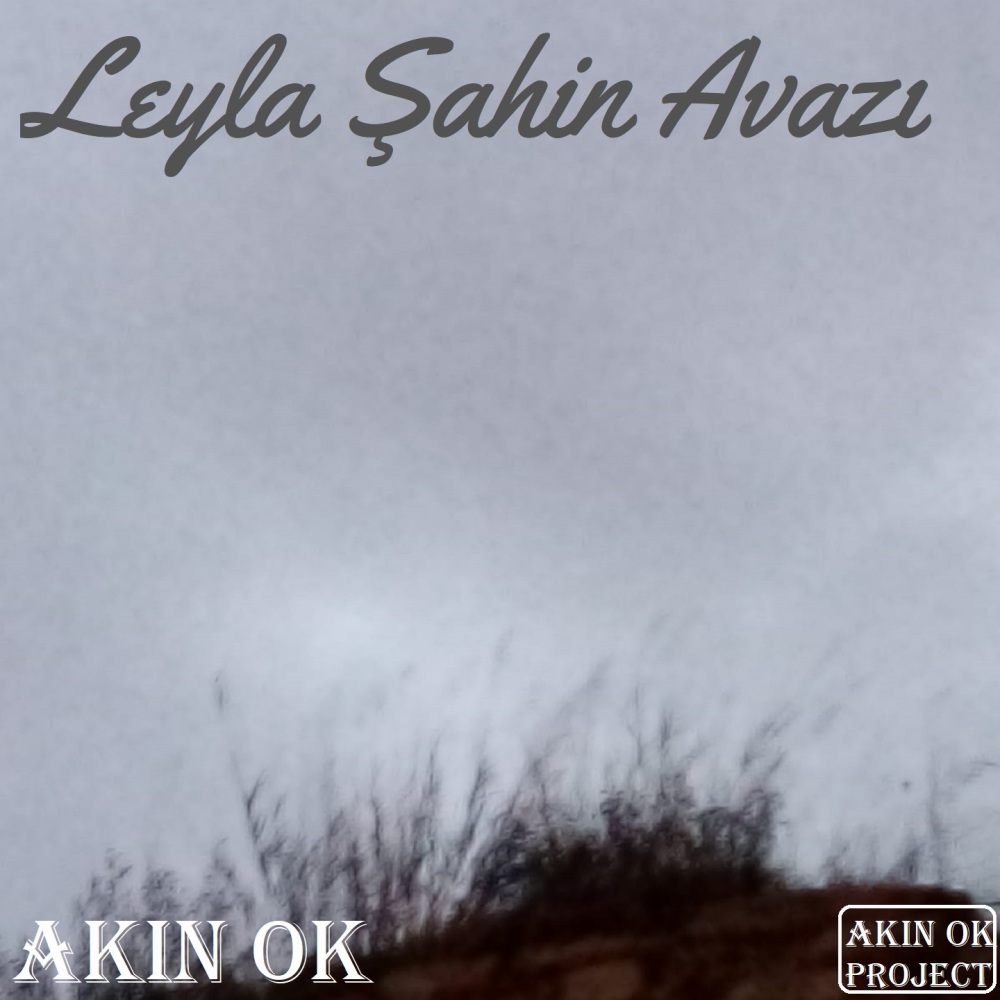 Leyla Şahin Avazı