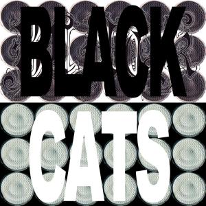Klint的專輯Black Cats (feat. Aske) [Explicit]