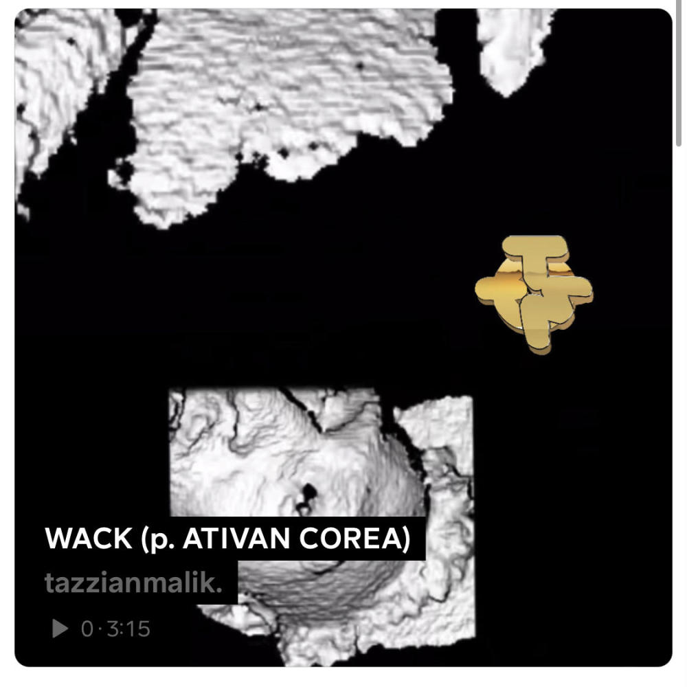 WACK (feat. ATIVAN COREA) (Explicit)