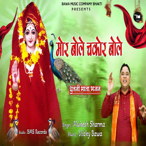 收聽Mukesh Sharma的Mor Bole Chakor Bole歌詞歌曲