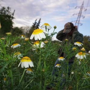 收聽Kaylirex的AGOBIO #AfroRepublic (Explicit)歌詞歌曲