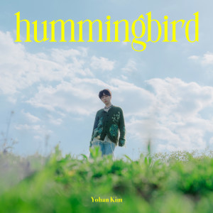 อัลบัม hummingbird ศิลปิน YOHAN KIM