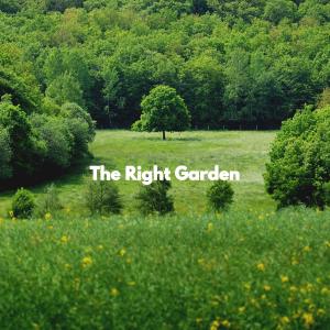 Desayuno Jazz的专辑The Right Garden
