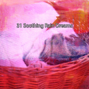 Album 31 Soothing Rain Dreams oleh Relaxing Rain Sounds