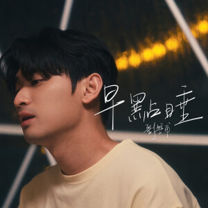 收聽劉學甫的早點睡歌詞歌曲