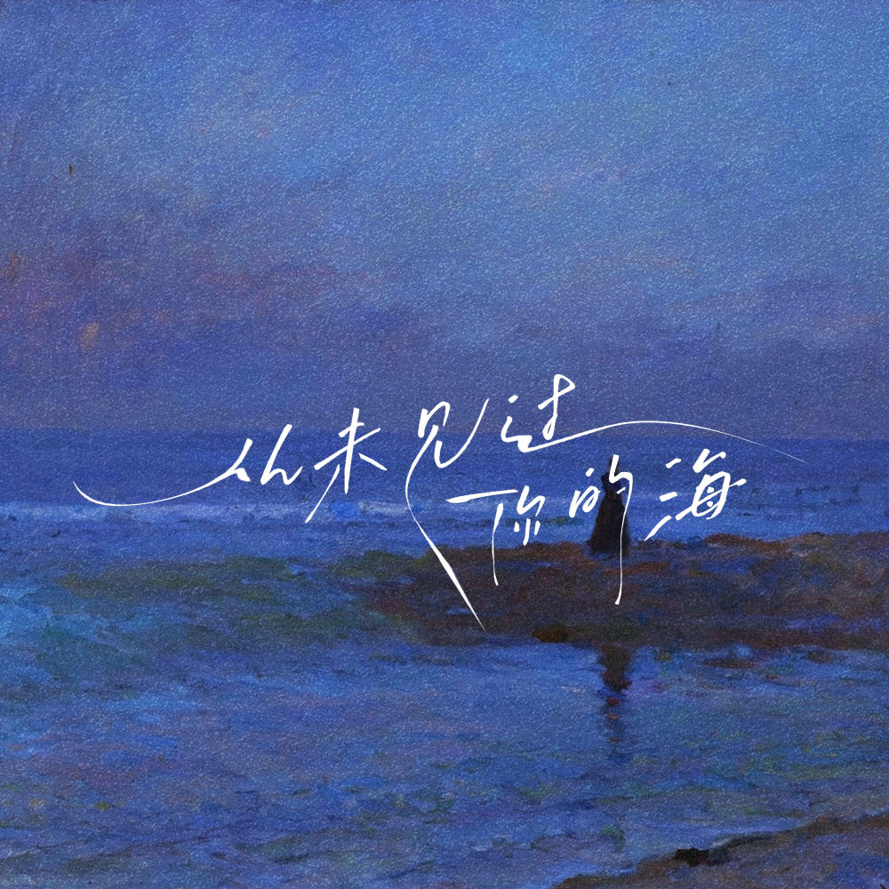 从未见过你的海