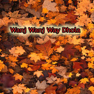 收听Ahmad Ali Ahmad的Wanj Wanj Way Dhola歌词歌曲