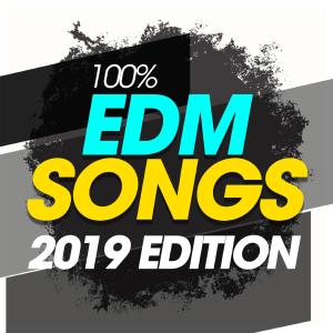 Various Artists的專輯100% EDM Songs 2019 Edition