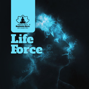 Dengarkan Relaxing Music lagu dari Mindfulness Meditation Music Spa Maestro dengan lirik