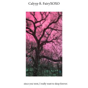 Listen to wake up anymore(feat. fairyxoxo) song with lyrics from Calyyp