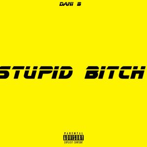 Dani B的專輯Stupid Bitch (Explicit)