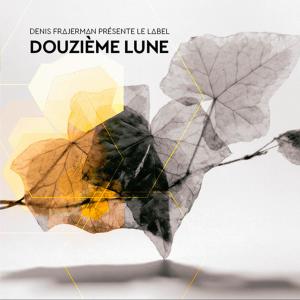 Denis Frajerman的專輯Douzième Lune
